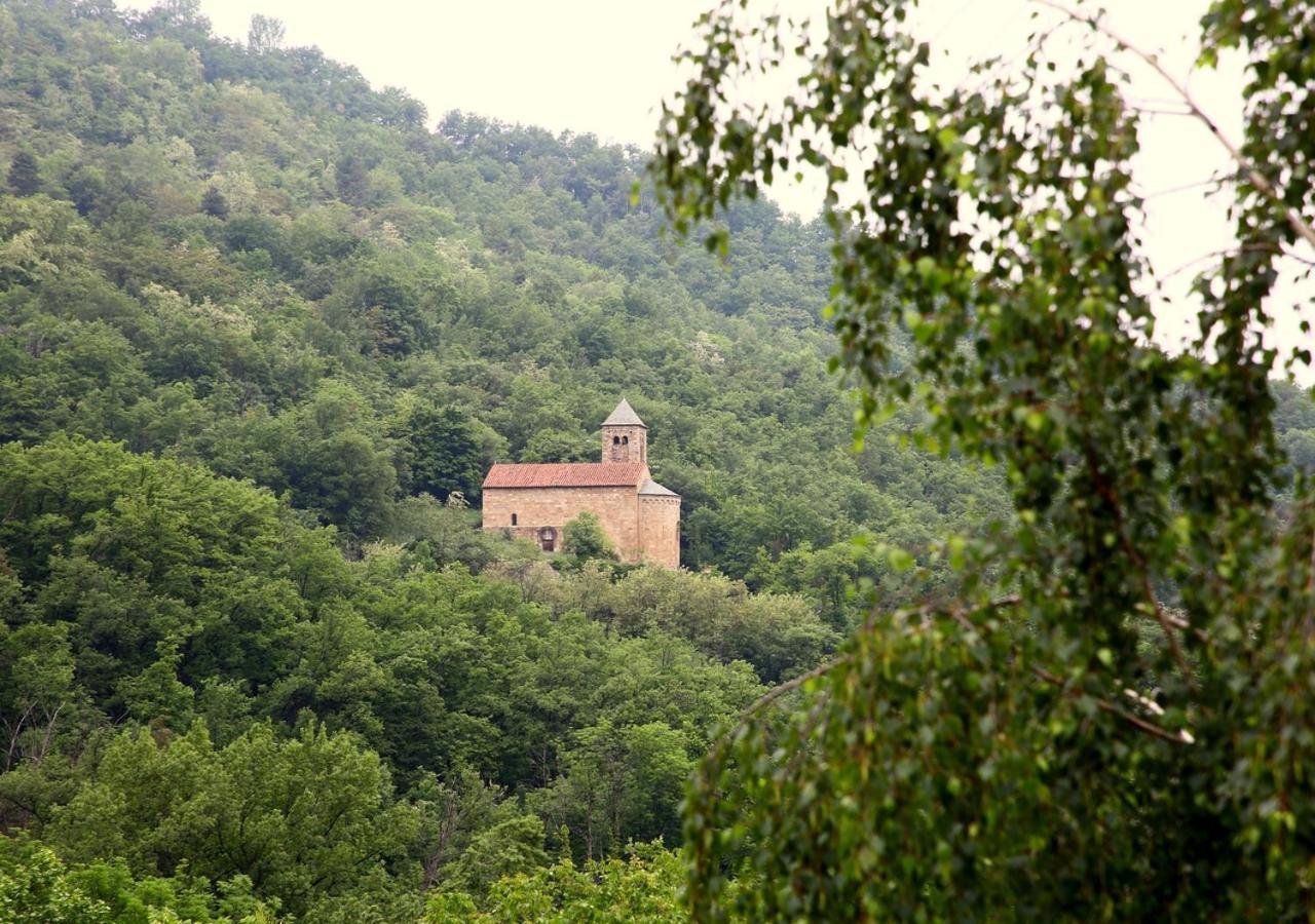 Beau Vallon - Gite Et Chambres D'Hotes Pyrenees-Mediterranee - Pays Catalan Sahorre Exterior foto